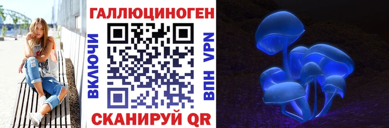 Купить закладки  Назрань  Галлюциногенные грибы MAGIC MUSHROOMS